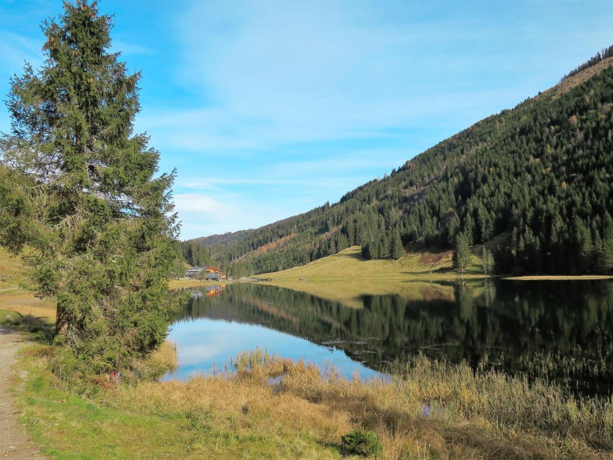 Holiday Home Siedlerhof - Hae180 By Interhome Haus im Ennstal Esterno foto