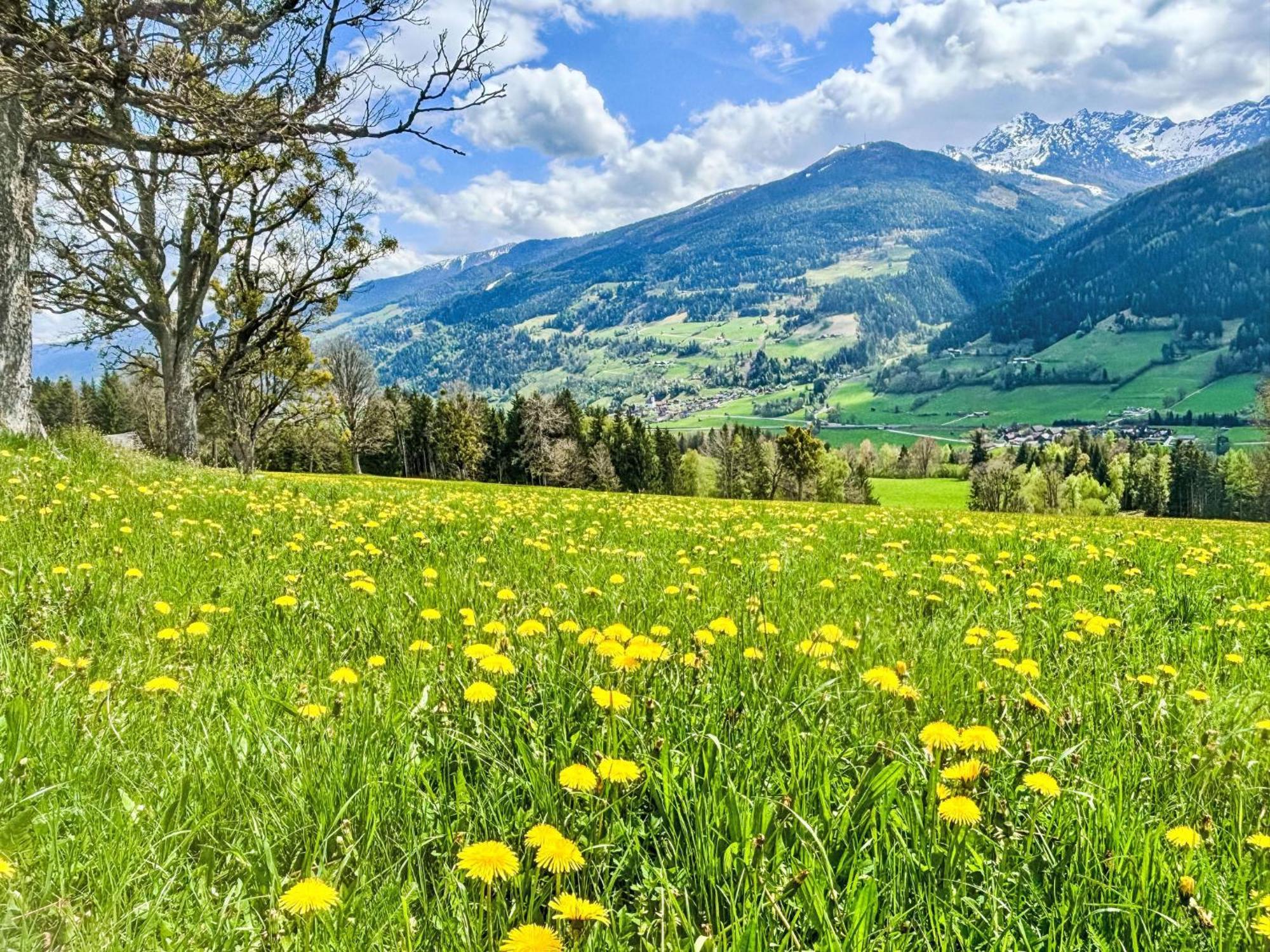 Holiday Home Siedlerhof - Hae180 By Interhome Haus im Ennstal Esterno foto